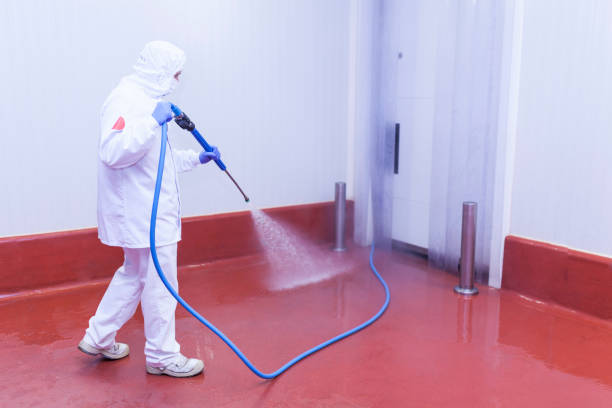 Best Driveway Pressure Washing  in Baltimore, MD